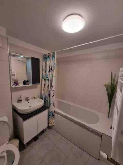 Апартаменты Chic Studio Pallady Бухарест Экстерьер фото
